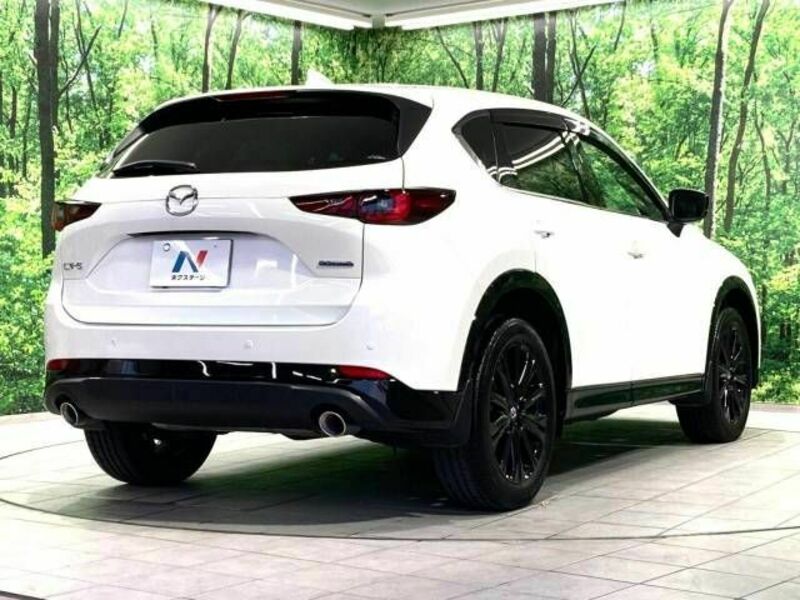 CX-5-17