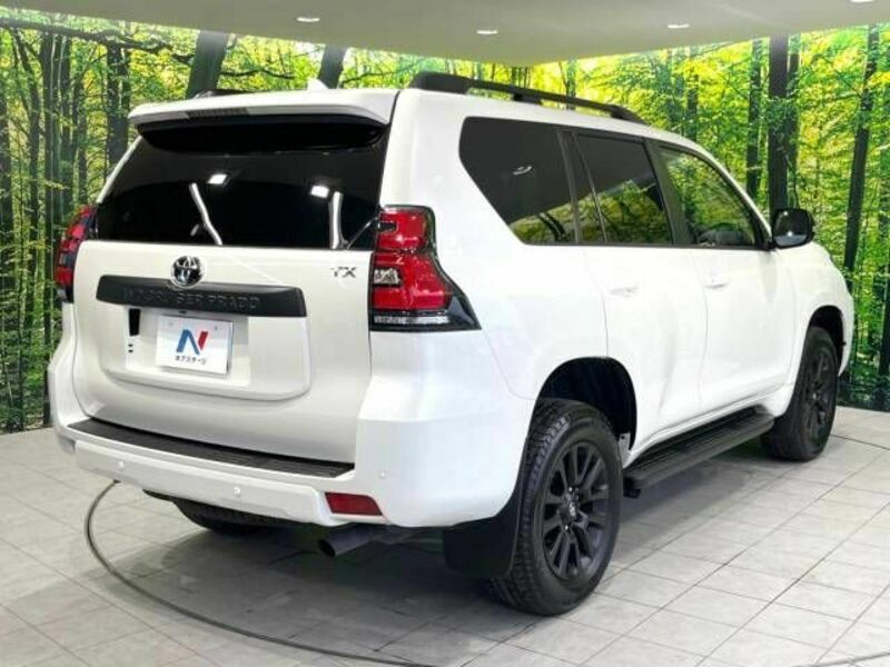 LAND CRUISER PRADO-17