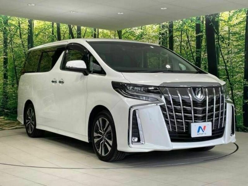 ALPHARD-16