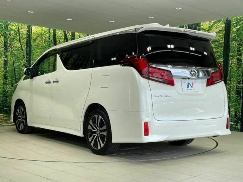 ALPHARD-17