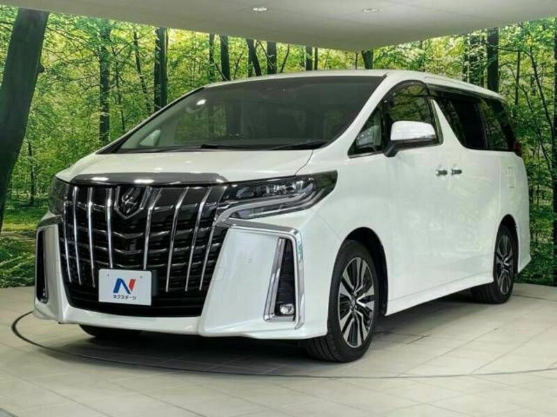 ALPHARD-19