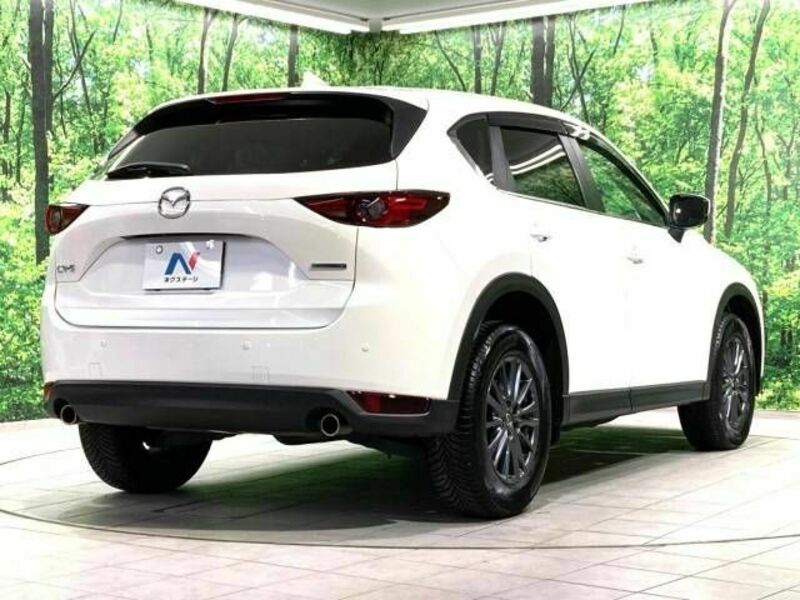 CX-5-17