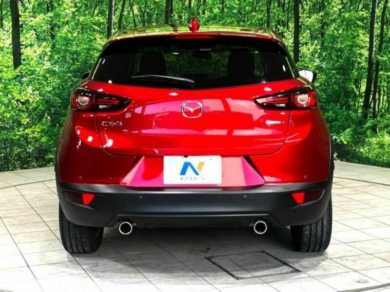 CX-3-15