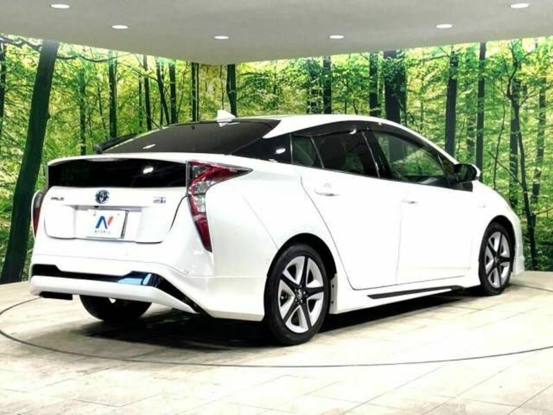 PRIUS-17