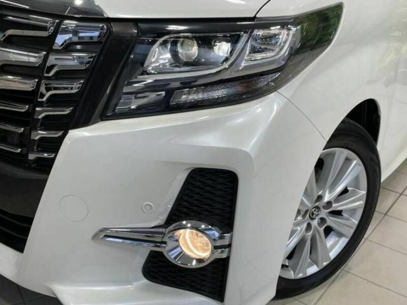 ALPHARD-13