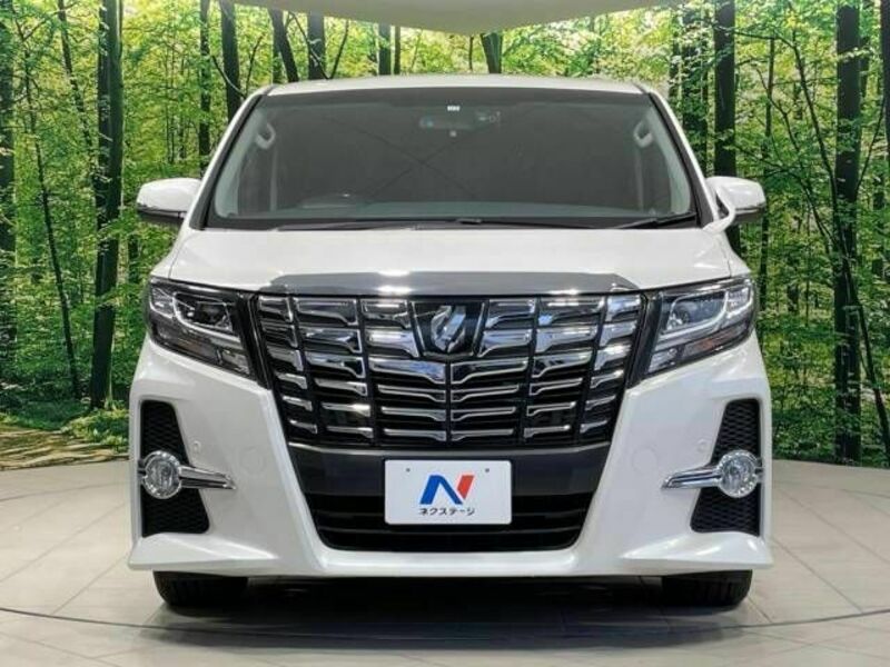 ALPHARD-15