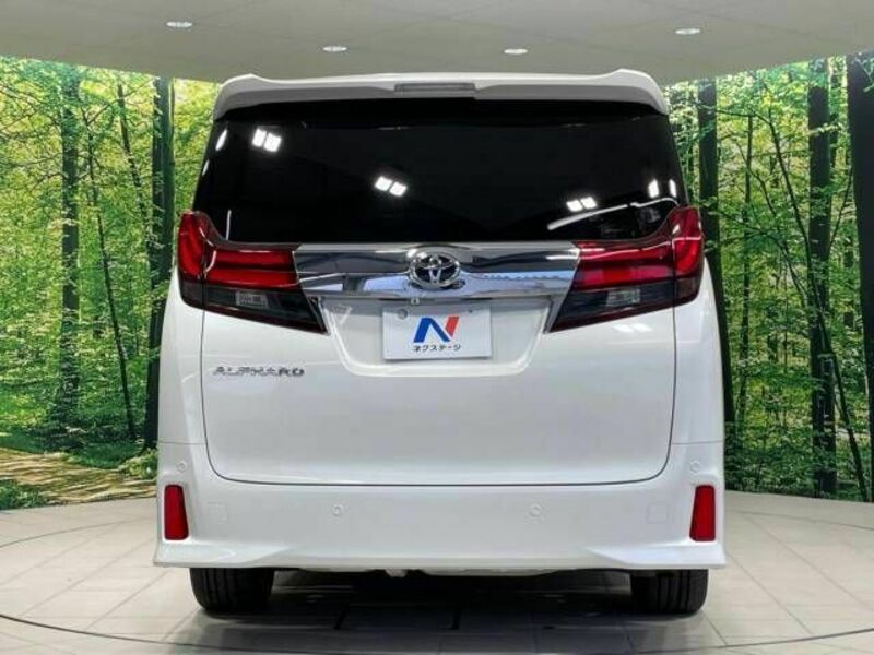 ALPHARD-16