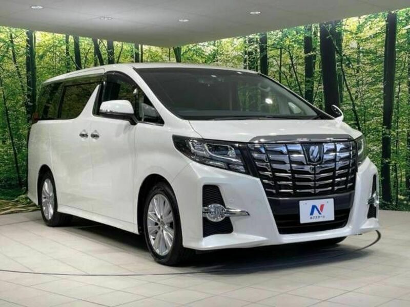 ALPHARD-17