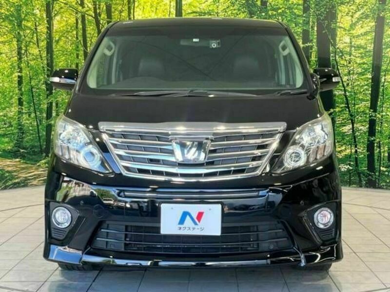 ALPHARD-15