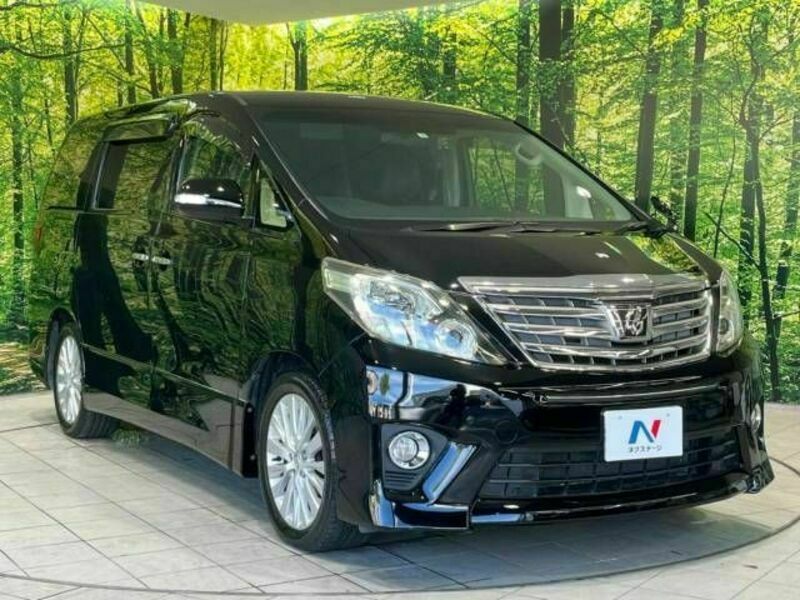 ALPHARD-17