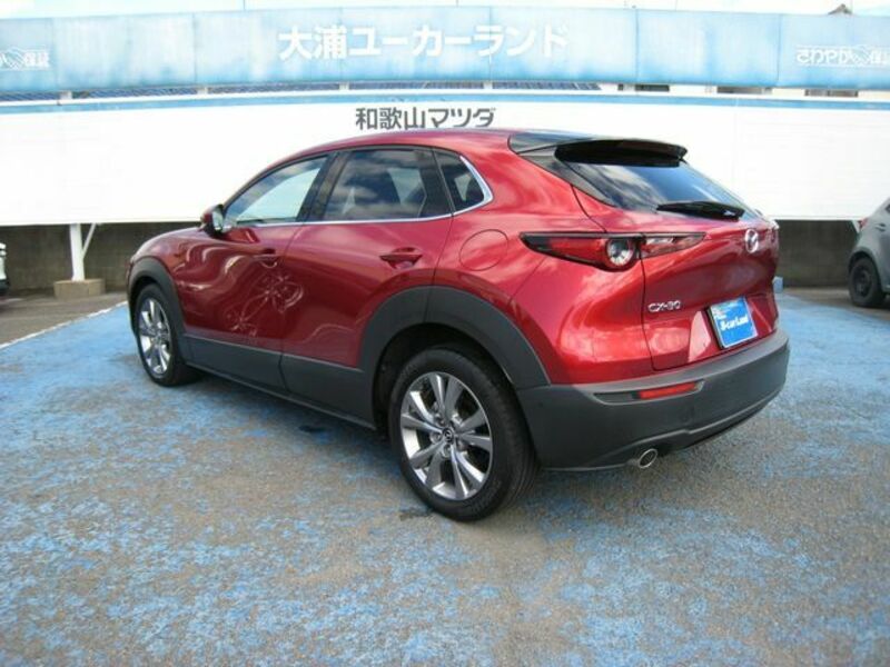 CX-30-2