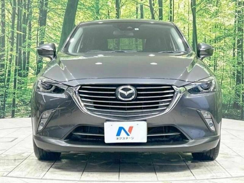 CX-3-12