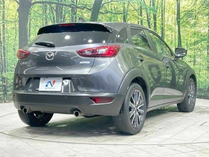 CX-3-15