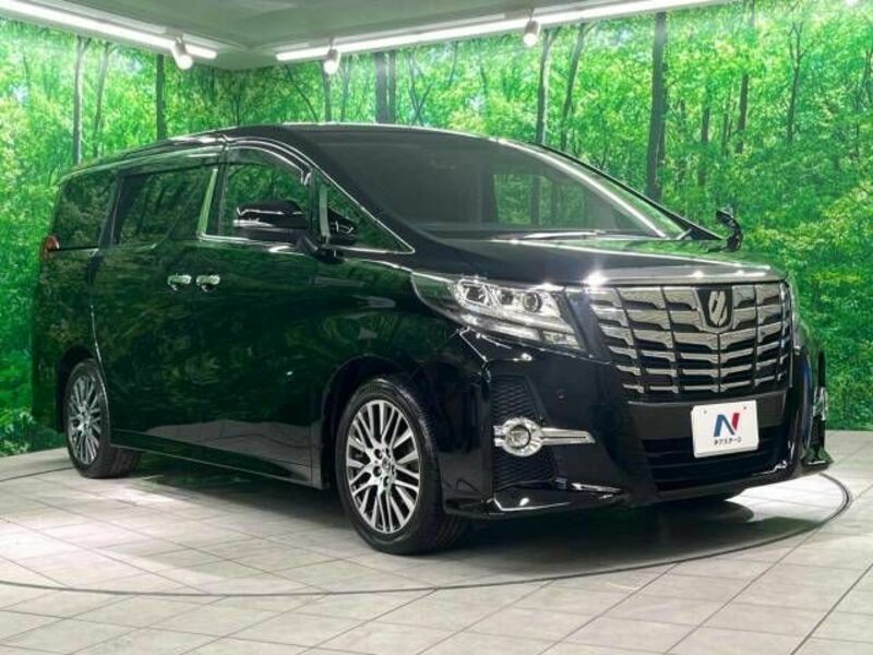 ALPHARD-16