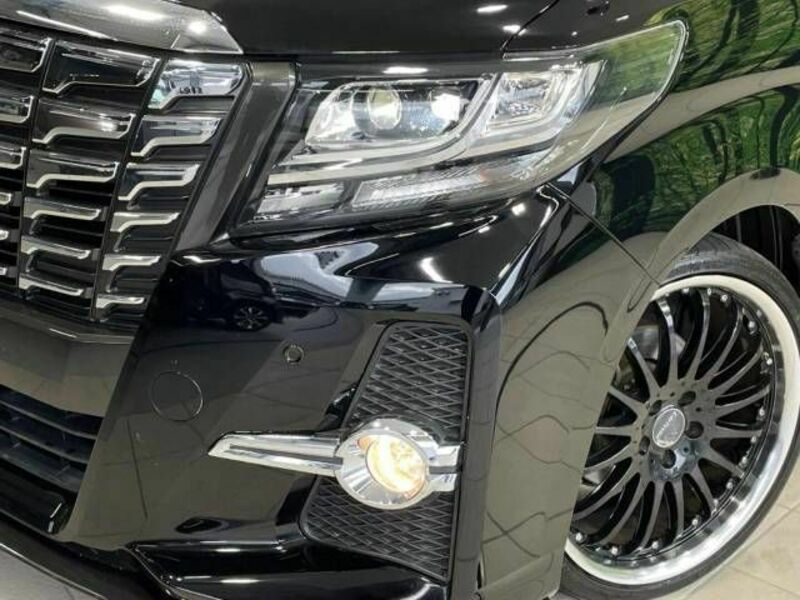 ALPHARD-13