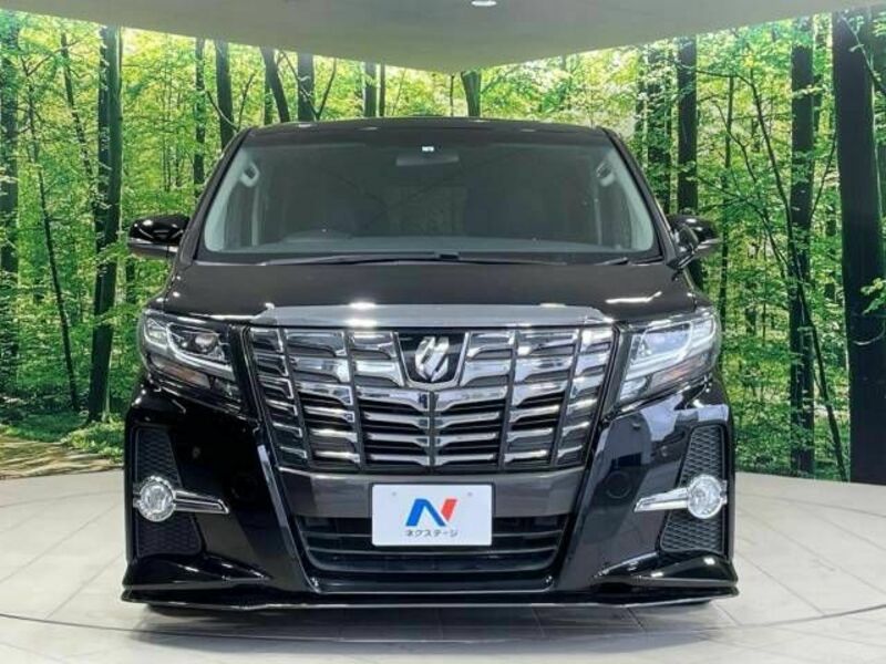 ALPHARD-15