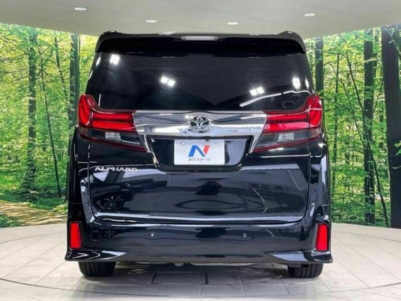 ALPHARD-16