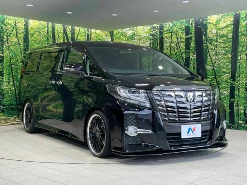 ALPHARD-17