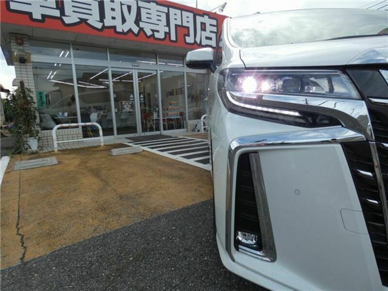 ALPHARD-8