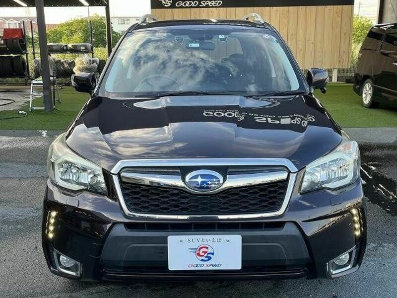 FORESTER-10