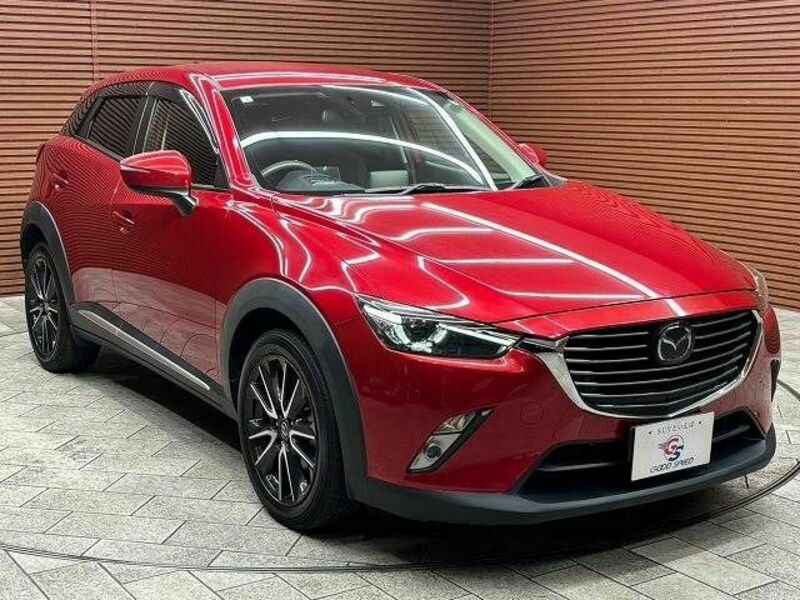 CX-3-13