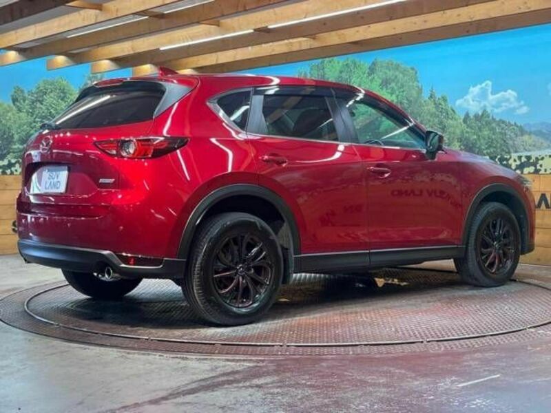 CX-5-17