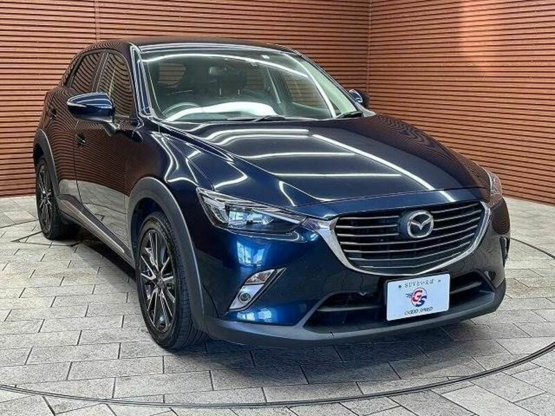 CX-3-13