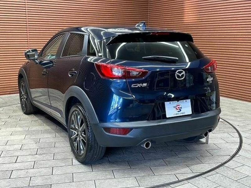 CX-3-15