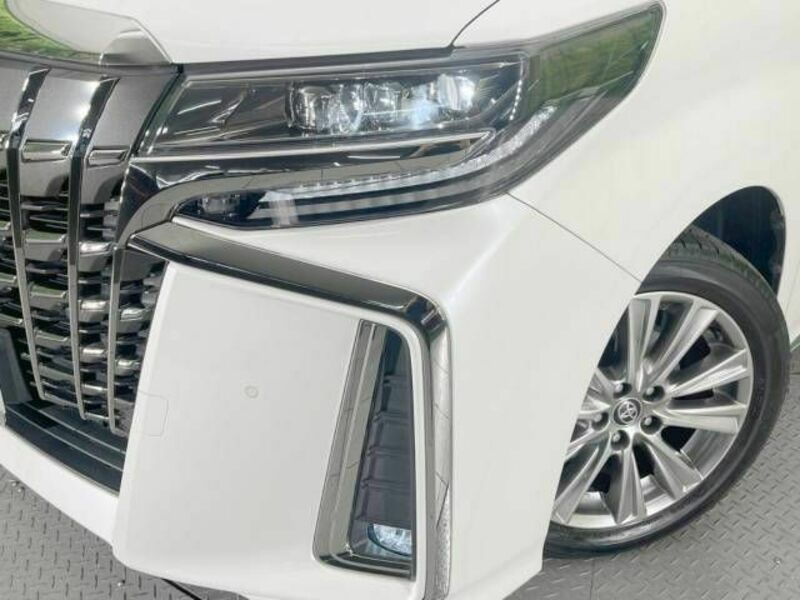 ALPHARD-13