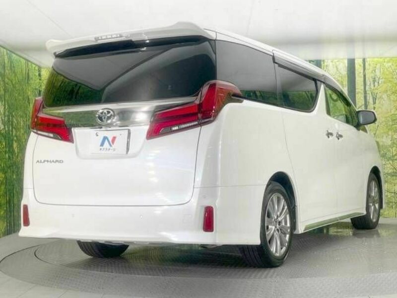 ALPHARD-18