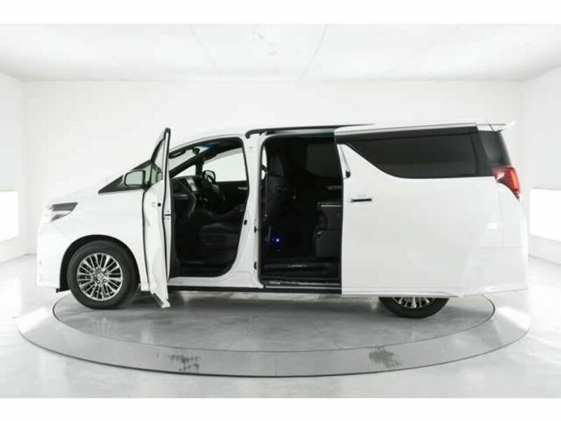 ALPHARD-11