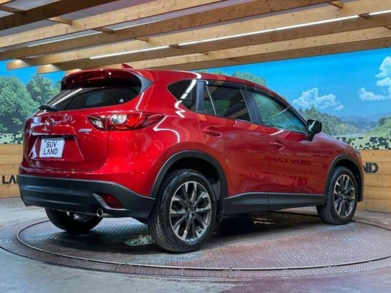 CX-5-17