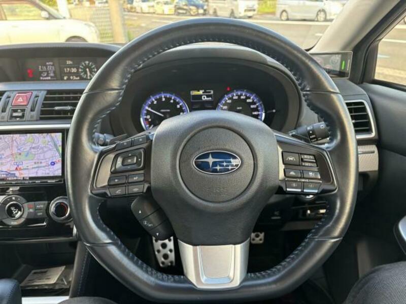 LEVORG-10