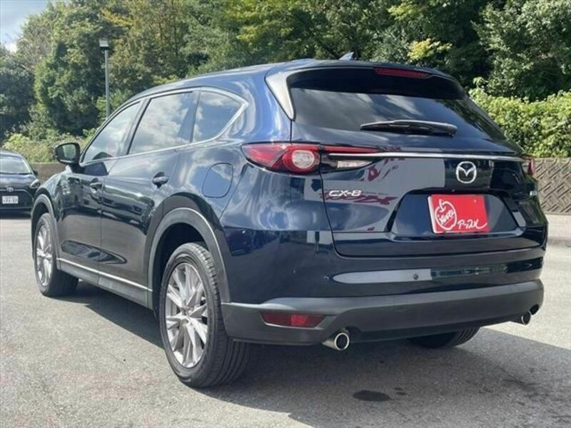 CX-8-18