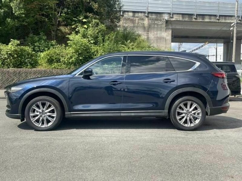 CX-8-19