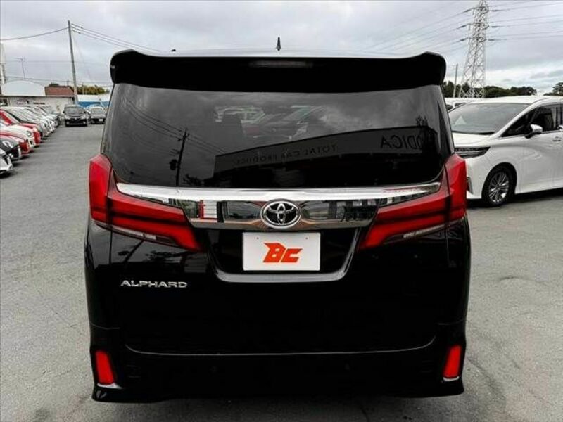 ALPHARD-13