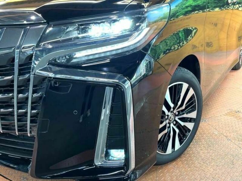 ALPHARD-15