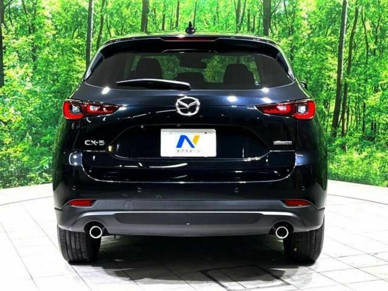 CX-5-16