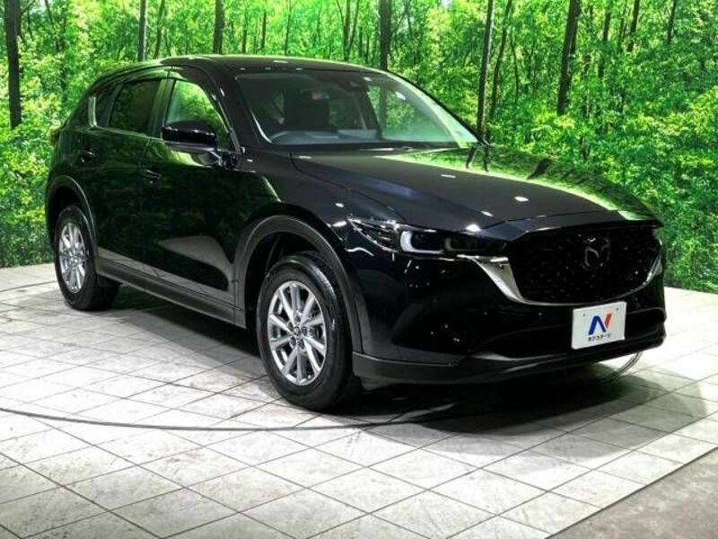 CX-5-17