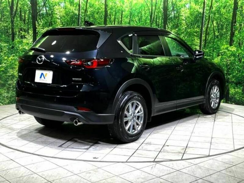 CX-5-18