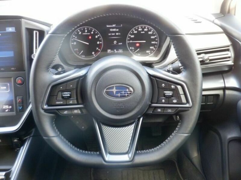 LEVORG-4