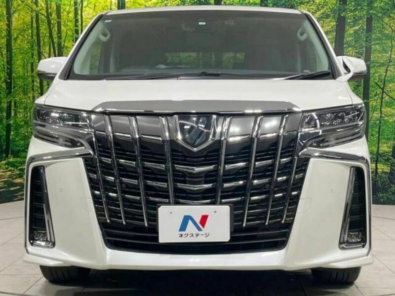 ALPHARD-14