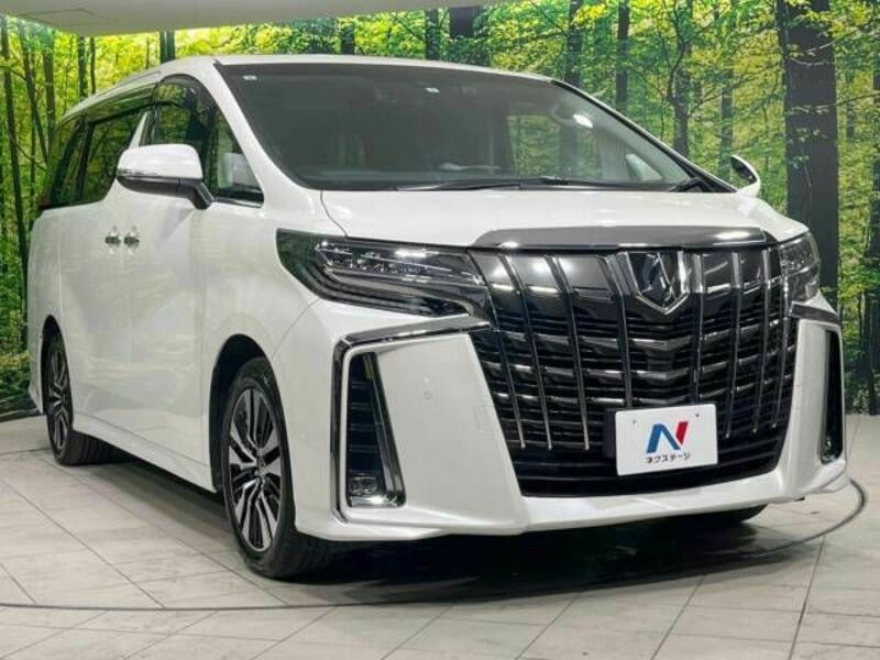 ALPHARD-16