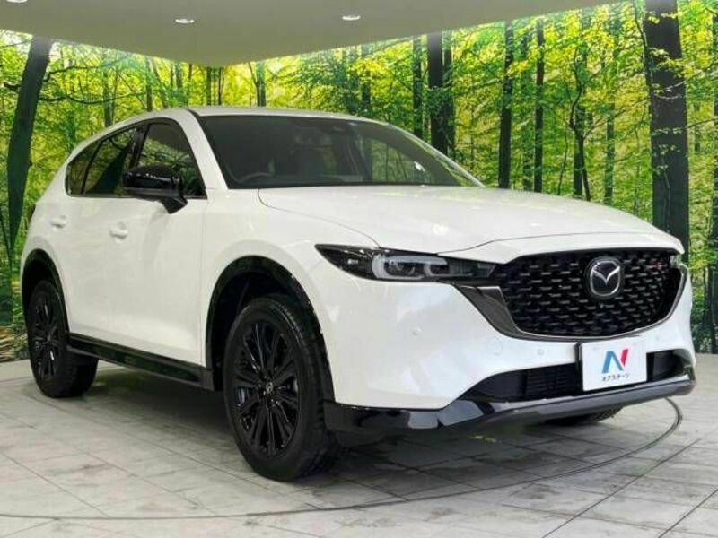 CX-5-16