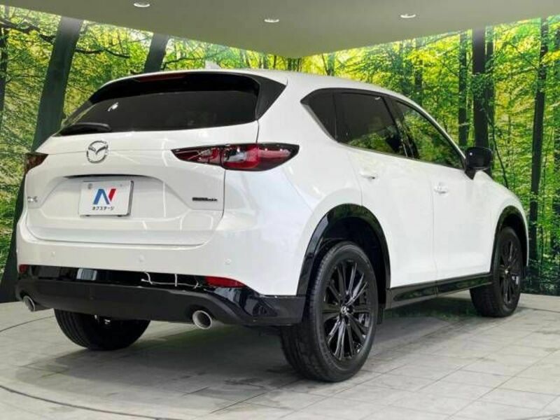 CX-5-17