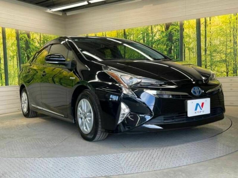 PRIUS-16