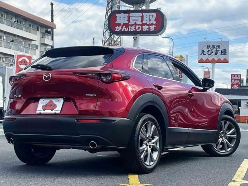 CX-30-2