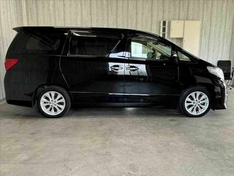 ALPHARD-10