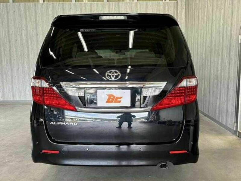 ALPHARD-13