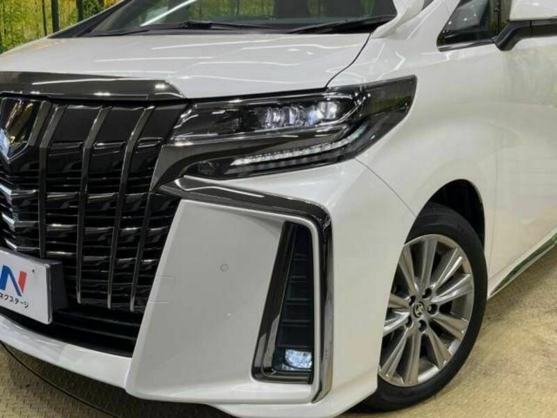 ALPHARD-13